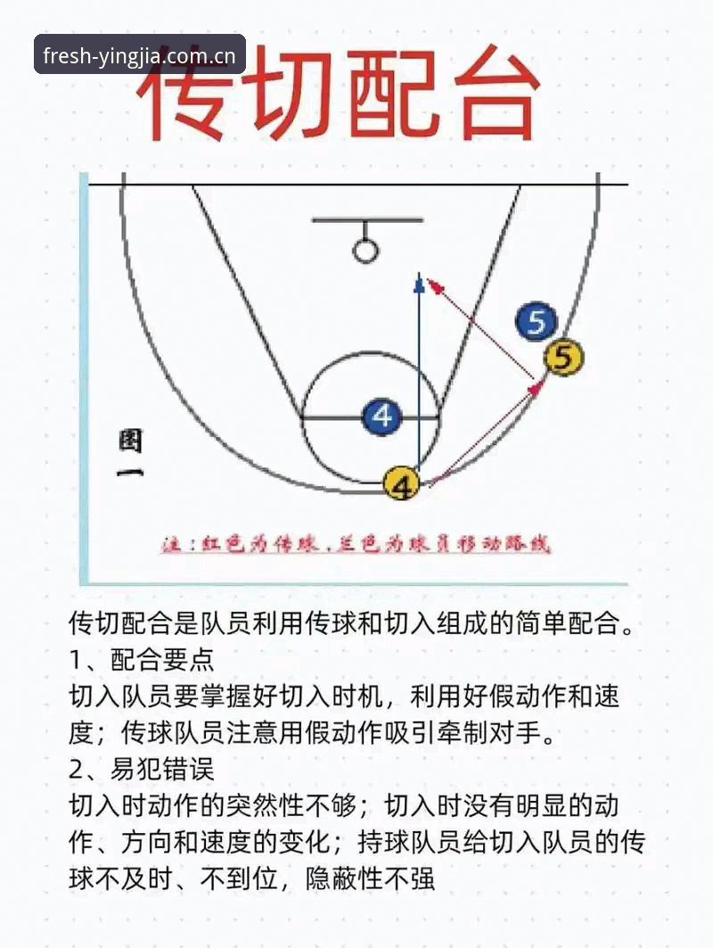 盈嘉体育篮球水位数据使用技巧 盈嘉体育APP篮球水位数据实战技巧:从入门到精通的决策指南
